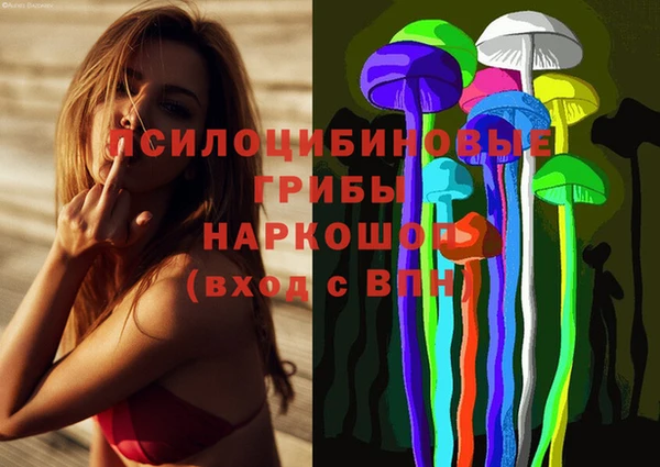 спайс Баксан