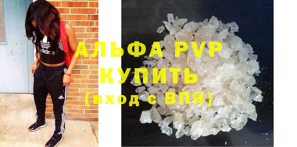 спайс Баксан