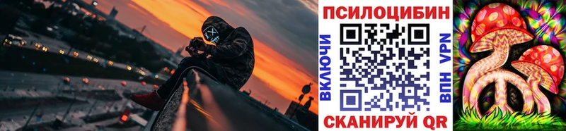 купить наркотик Красный Кут Галлюциногенные грибы мицелий
